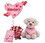 Gift Basket 8162312-P I Woof You Plush Valentine With chocolates gift set - Pink