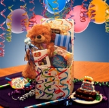 Gift Basket 819252 Birthday Surprise Care Package