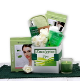 Gift Basket 819892 Eucalyptus Spa Care Package
