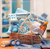 Gift Basket 890152-B Our Precious Baby New Baby Carrier - Blue