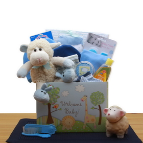 Gift Basket Welcome New Baby Gift Box
