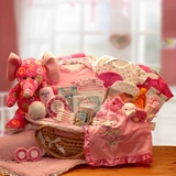 Gift Basket 890431-P Precious Petals Deluxe Moses Carrier - Pink
