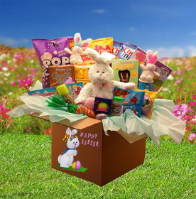 Gift Basket 914301 Family Fun Easter Care Package