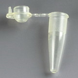 Globe Scientific 0.2mL PCR Tubes with Attached Dome Cap