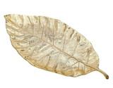 Godinger 11620 Gold Finish Leaf Tray - Large