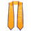 TOPTIE Personalized Graduation Stole Custom Graduation Shawl for Class of 2024 Length 72"