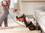 Bissell 3579 ProHeat 2X Revolution Bagless Carpet Cleaner 6.8 amps Standard Orange