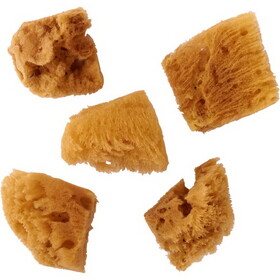 Plaid 30179R FoldArt Assorted Sea Sponge