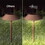 Feit Electric PATH/SYNC/SOLBZFeit OneSync Bronze Solar Powered 40 W LED Pathway Light 1 pk