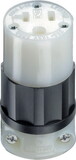 LEVITON 05369-00C Industrial Nylon Ground/Straight Blade Plug 5-20R 2 Pole 3 Wire