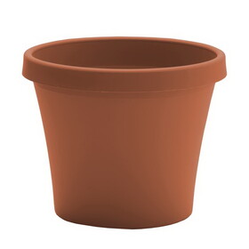 Bloem 20-50004C Terra 3.75 in. H X 4.25 in. W Resin Traditional Planter Terracotta Clay