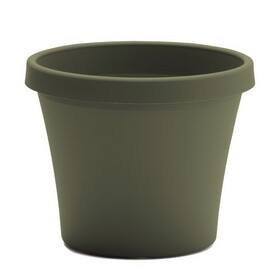 Bloem 50416 Terra 14.25 in. H X 17.25 in. W Resin Traditional Planter Living Green