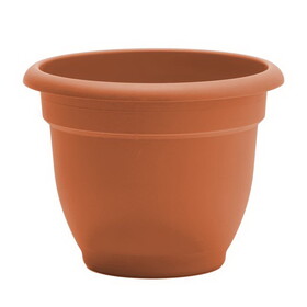 Bloem 20-56116 Ariana 13.75 in. H X 17.75 in. W X 17.75 in. D Plastic Traditional Planter Terracotta