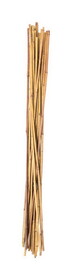 Panacea 89783 36 in. H Brown Bamboo Plant Stake