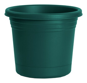 Rugg AR12-FG 12 in. D Polyresin Planter Green
