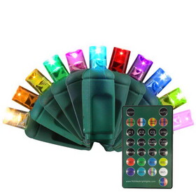 Celebrations BR5MM50SA Platinum LED Micro/5mm RGBW 50 ct String Lights w/Remote Smart-Enabled Christmas Lights