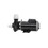 Gecko 02110000-1010 Flo-Master HP Pump 1HP 2-Speed 115V Side Discharge, Price/each