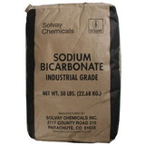 Popular SC-50 Sodium Bicarbonate NSP Pool Grade 50 lb Bag 1/Case
