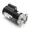 Century B2984 56Y , 2HP , 230V , 11A , 2-Speed Square Flange Motor, Price/each