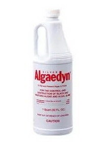Popular 47-600 Silver Algaedyne Algaecide, 1 Quart Bottle