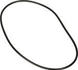 Jandy R0446300 Pro Series Backplate O-Ring