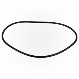 Jandy R0480300 Pro Series FHP Backplate O-Ring