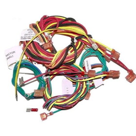 Raypak 009490F Wire/Harness Iid185B-405B