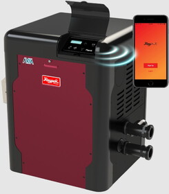 Raypak 018044 Avia Natural Gas Heater 264K BTU NiTek Heat Exchanger