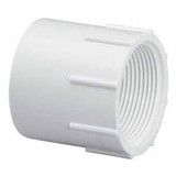 PVC Fittings 435020 Sch. 40 PVC Adapter 2 in. Slip x FPT