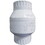 Spears S1580-20F 2&quot; Fpt Spring Type Check Valve With Lb Spring, Price/each