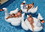 Swimline 90621 Giant Swan Ride-On, Price/each
