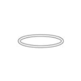 Waterway 805-0436 6&quot; Pump Trap Lid O-Ring