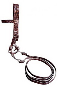 Showman 14433P Pony Size Premium nylon browband headstall & Reins with bit in a cheetah print design