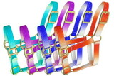 Showman 16845 Premium nylon ombre halter with brass plated hardware. FOAL/MINI SIZE