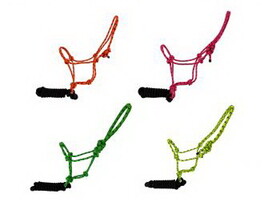 Showman 4346 Horse size fluorescent speckled cowboy knot halter with black removeable lead