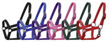 5946M Nylon halter with nickel plated hardware and throat latch. Mini size