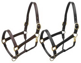 6620L Large horse size (1100-1600lbs) leather halter with brass hardware