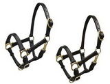 6620M Mini size leather halter with brass hardware