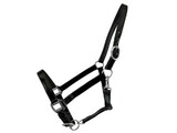 Showman 6624X Shiny Black Nylon Coated Horse Halter