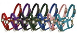 6634P Pony size nylon halter with triple ply nylon with brass hardware