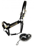 AS603 Dark Oil Average Horse size leather double stitched silver bar with gold accents show halter