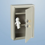Health Care Logistics - Slim-Line Narcotic Cabinet, 2 Locks, 1 Door, 8x12x2