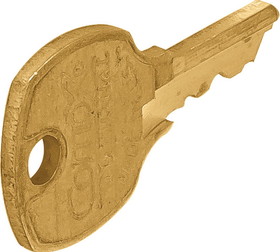 Hafele 210.02.219 Master Key, for MKKD Locks