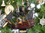 Handcrafted Model Ships Adventure Galley-7-XMASS Wooden Captain Kidd's Adventure Galley Model Pirate Ship Christmas Tree Ornament