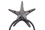 Handcrafted Model Ships K-0102D-cast iron Cast Iron Starfish Towel Holder 8.5"