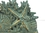 Handcrafted Model Ships K-1408-bronze Antique Bronze Cast Iron Seashell Napkin Holder 7&quot;