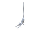 Handcrafted Model Ships K-9812-w Whitewashed Cast Iron Yoga Cat Kitchen Paper Towel Holder 19