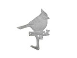 Handcrafted Model Ships K-9934-Oriole-w Whitewashed Cast Iron Baltimore Oriole Sitting on a Tree Branch Decorative Metal Wall Hook 6.5