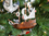 Handcrafted Model Ships Santa Maria-7-XMASS Wooden Santa Maria Model Ship Christmas Tree Ornament
