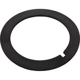 Aladdin G-380 Gasket, Titan/Sandpiper, Bulkhead, 2-5/8